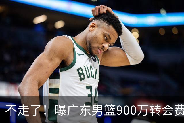 不走了！曝广东男篮900万转会费签下昔日状元内线，杜锋拒绝摆烂